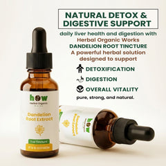 Dandelion root extract