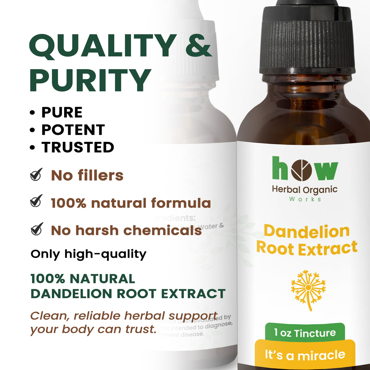 Dandelion root extract quality