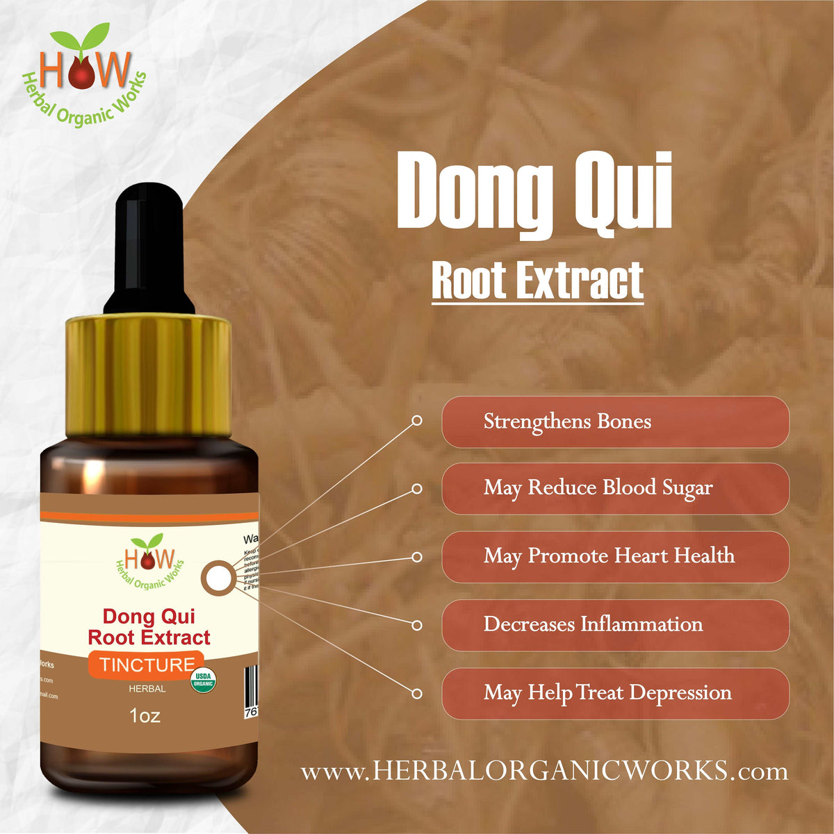 Dong Qui
