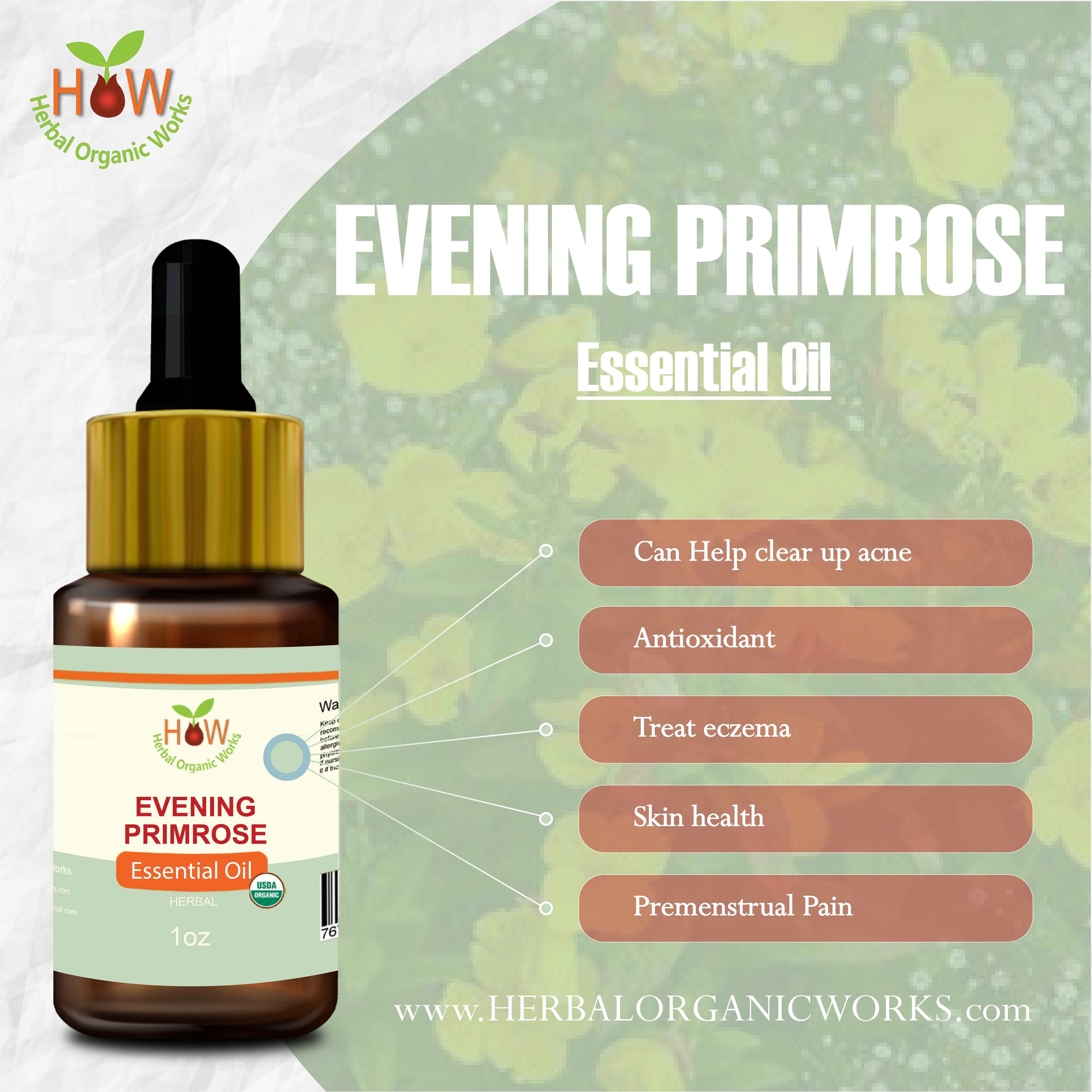 Evening Primrose