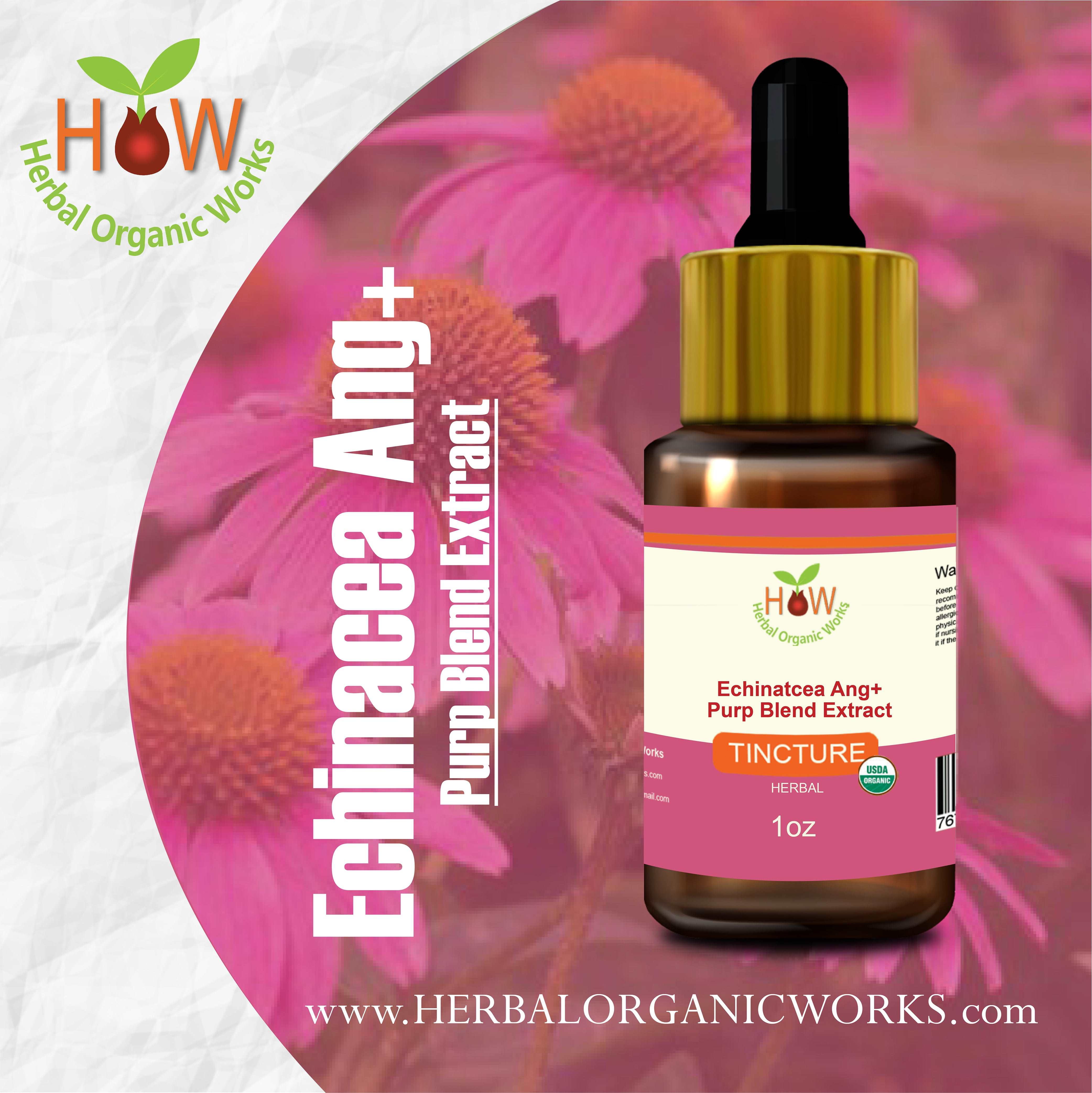 Echinacea Ang+