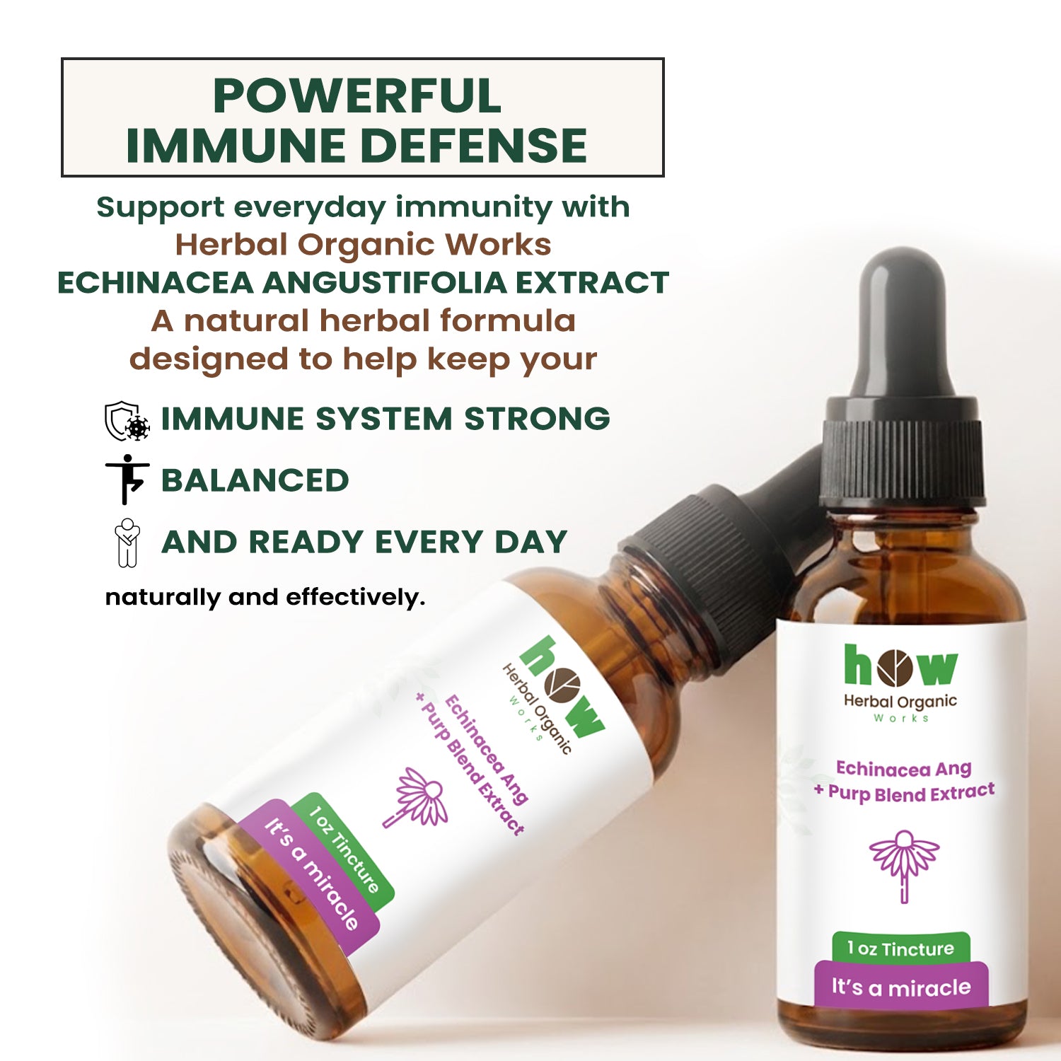 Echinacea angustifolia extract 