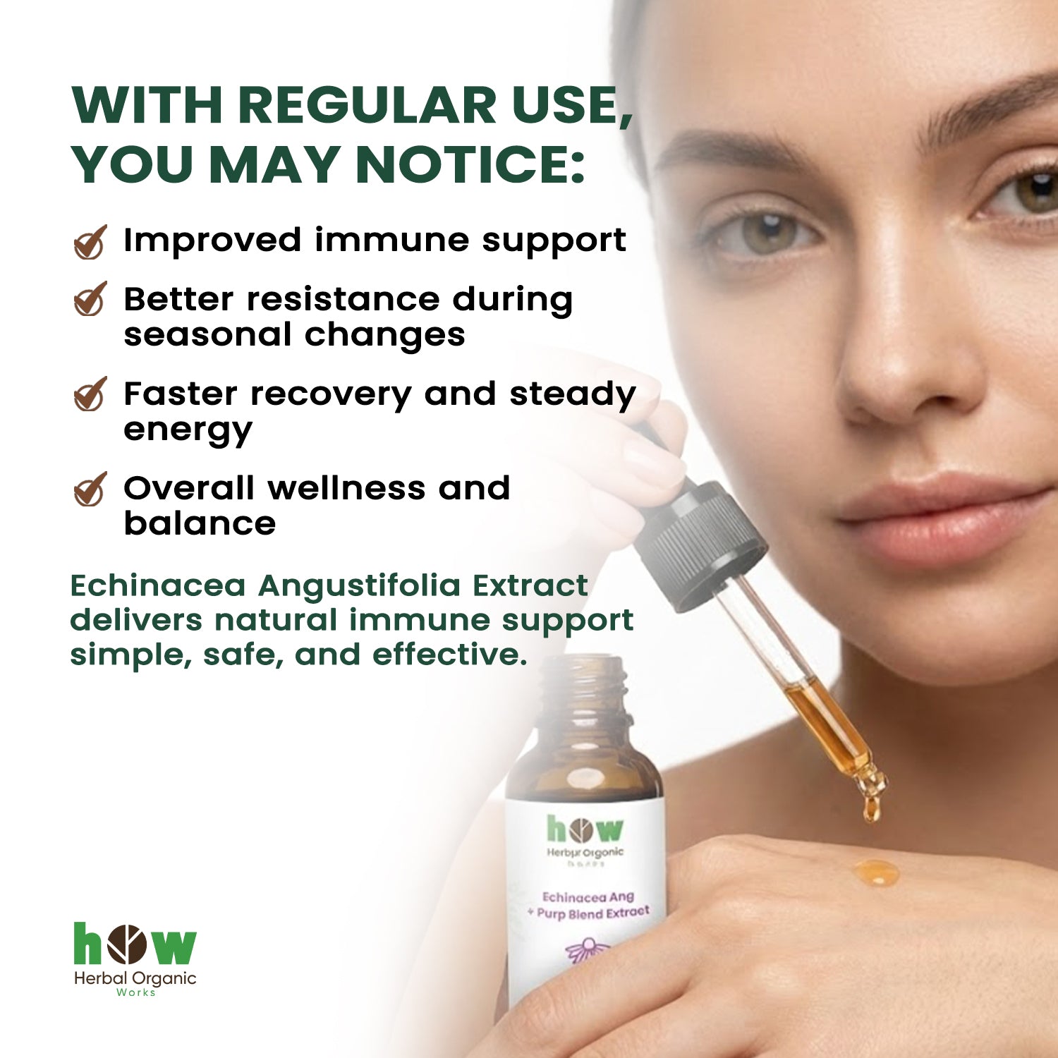 Echinacea angustifolia extract benefits