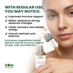 Echinacea angustifolia extract benefits
