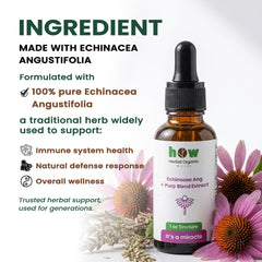Echinacea angustifolia extract ingredients