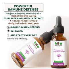 Echinacea angustifolia extract 