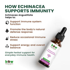 Echinacea angustifolia extract supports you