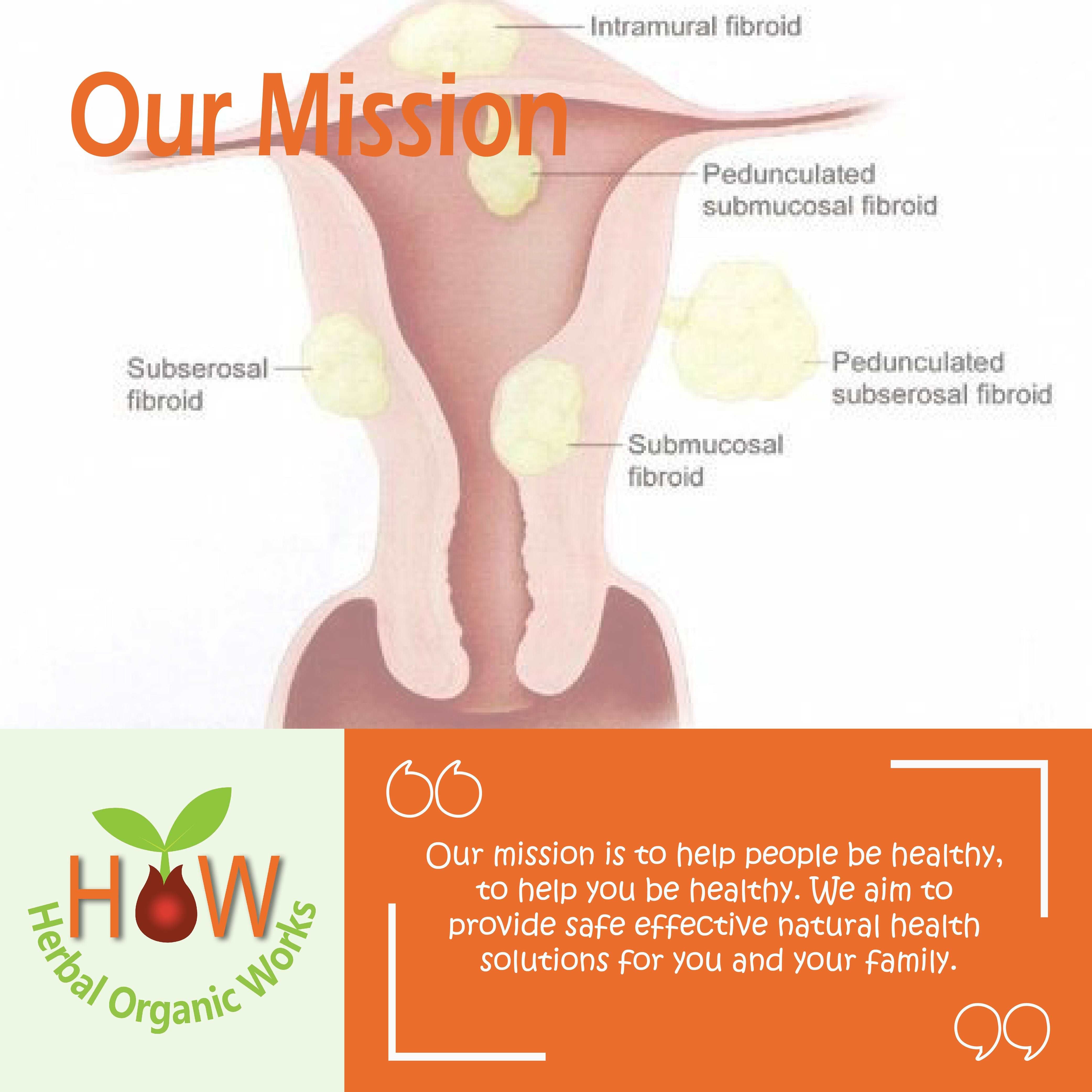 FIBROID SHRINK & OVARIAN CYSTS  REMEDY (HOW36)