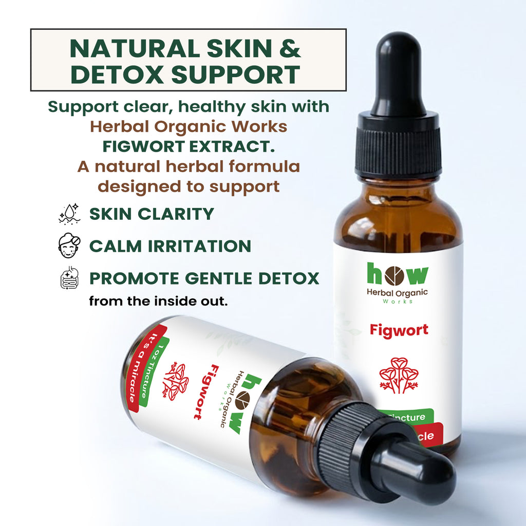 Figwort Extract 