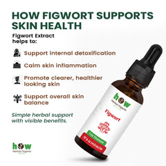 Figwort Tincture –  Herbal Support for Skin & Wellness - 30ml