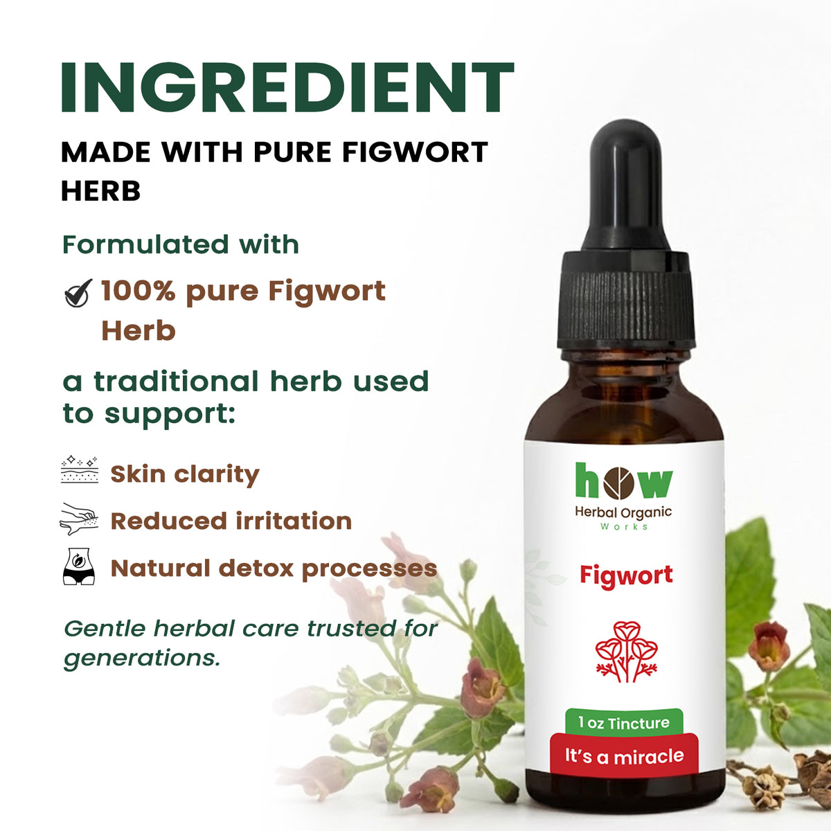 Figwort Extract ingredients