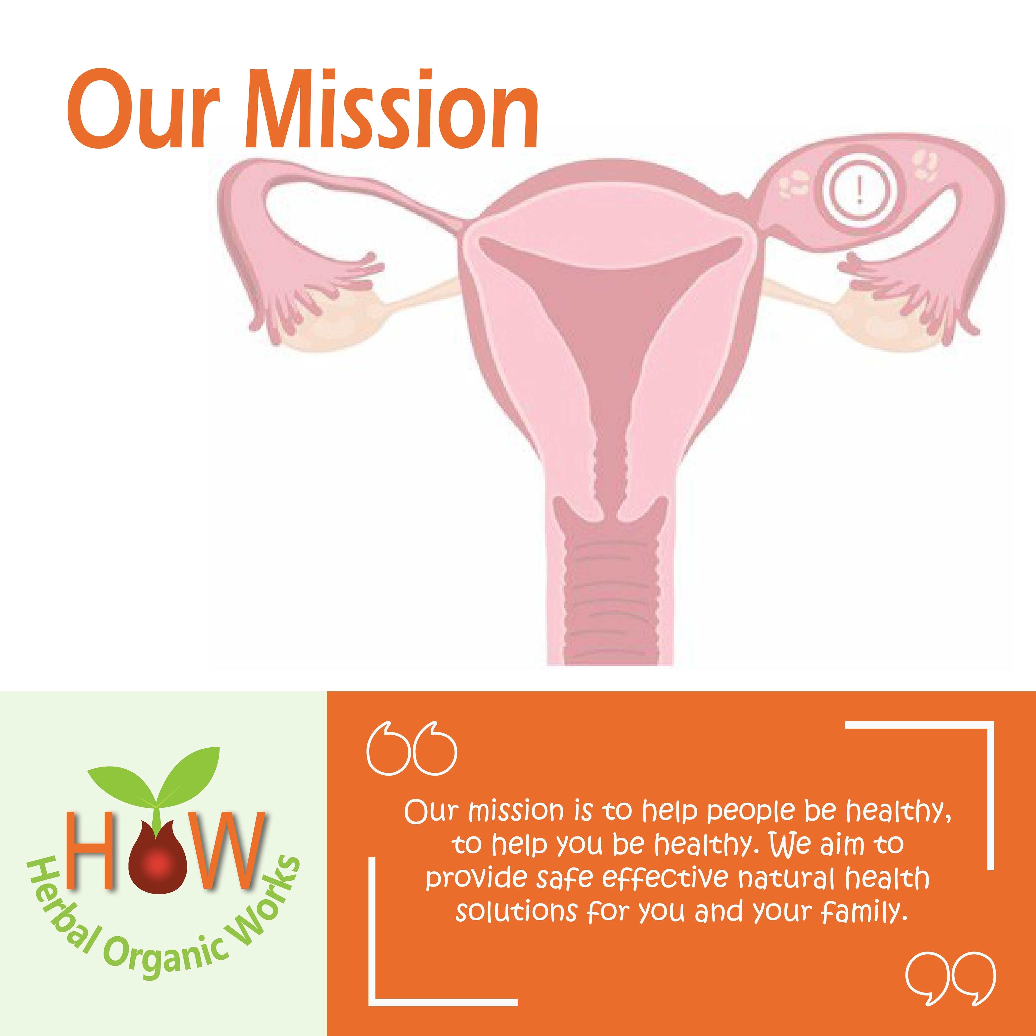 CHRONIC GYNAECOLOGICAL INFECTIONS REMEDY (HOW240)