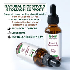 Gastro formula extract