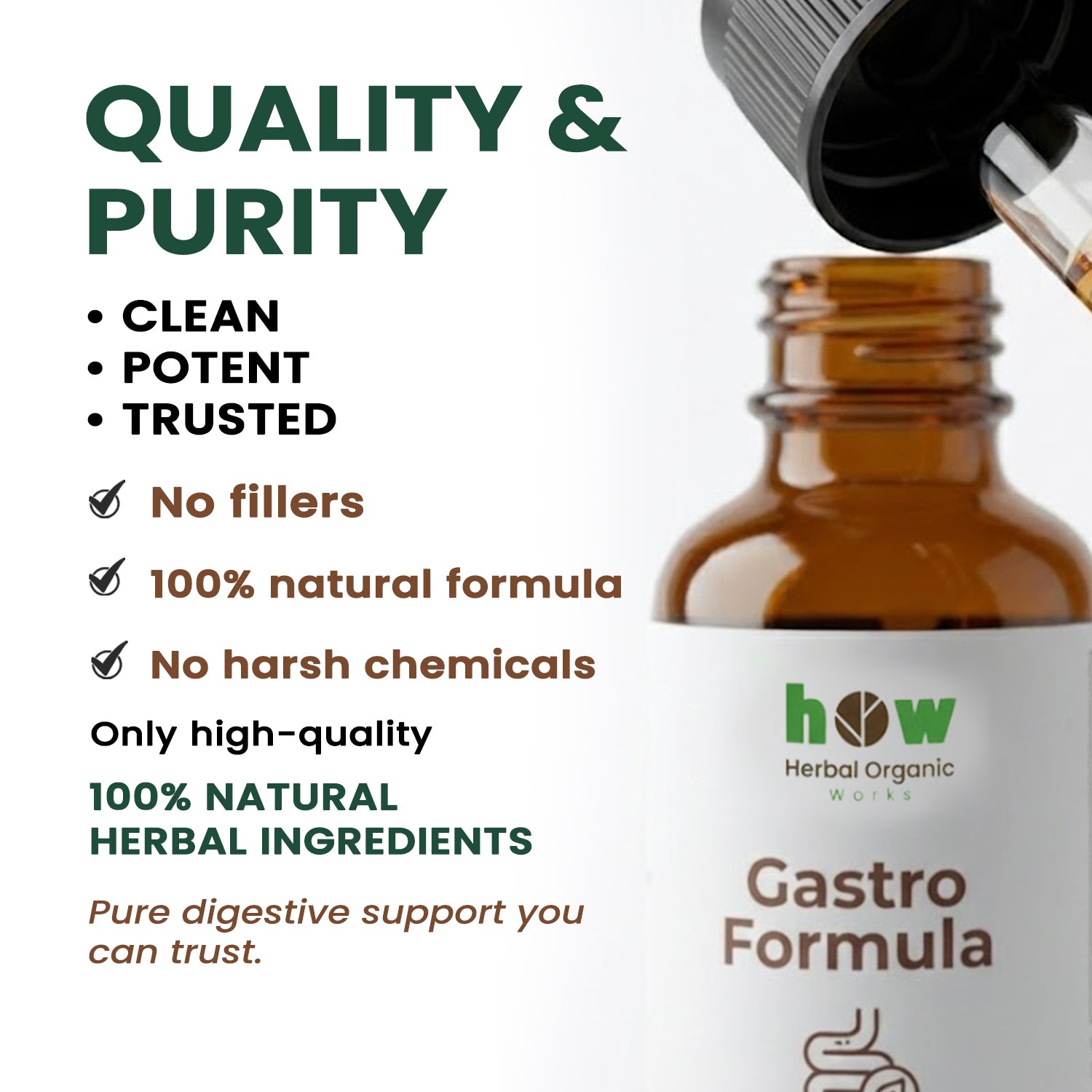 Gastro formula extract quality
