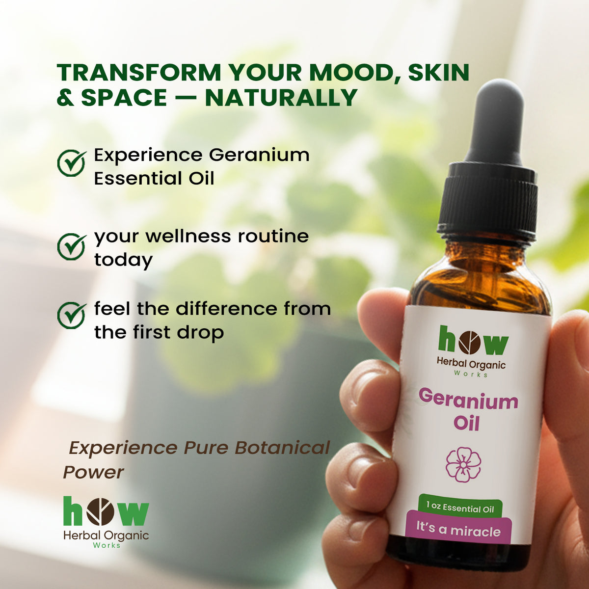 Geranium oil transformation