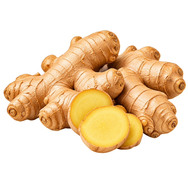 GINGER
