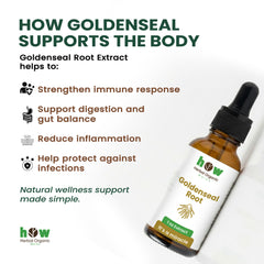 Goldenseal root extract for body
