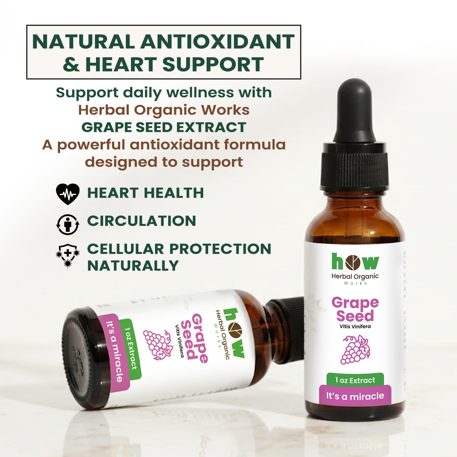 Grape seed extract 