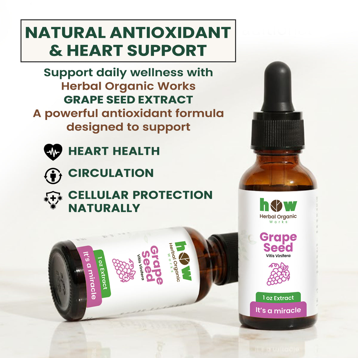 Grape seed extract 