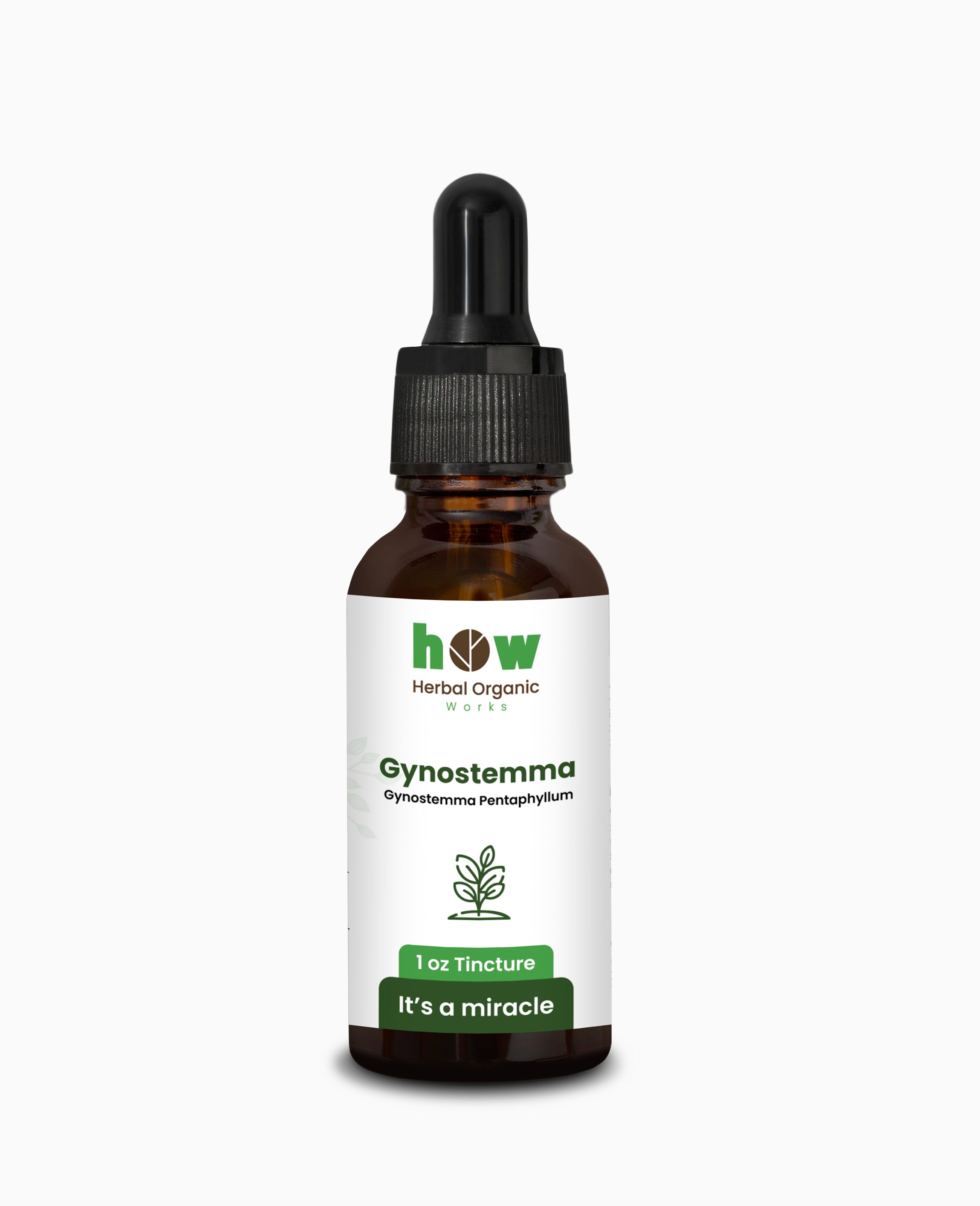 Gynostemma tincture