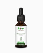 Gynostemma tincture