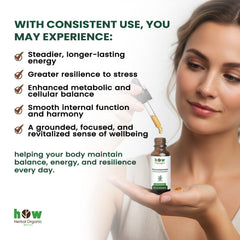 Gynostemma Tincture – Herbal Drops for Overall Body Balance