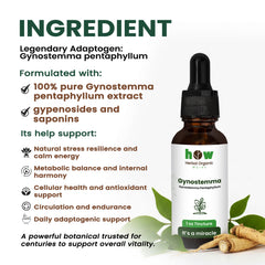 Gynostemma tincture ingredients