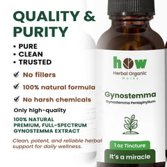 Gynostemma tincture quality