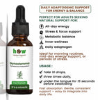 Gynostemma tincture uses