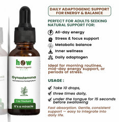 Gynostemma tincture uses