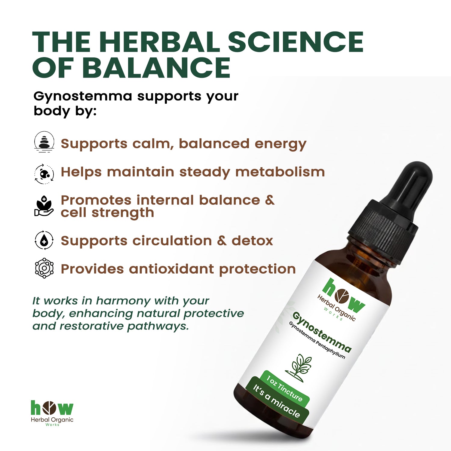 Gynostemma tincture works