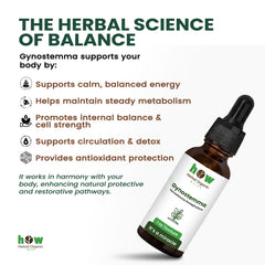 Gynostemma tincture works