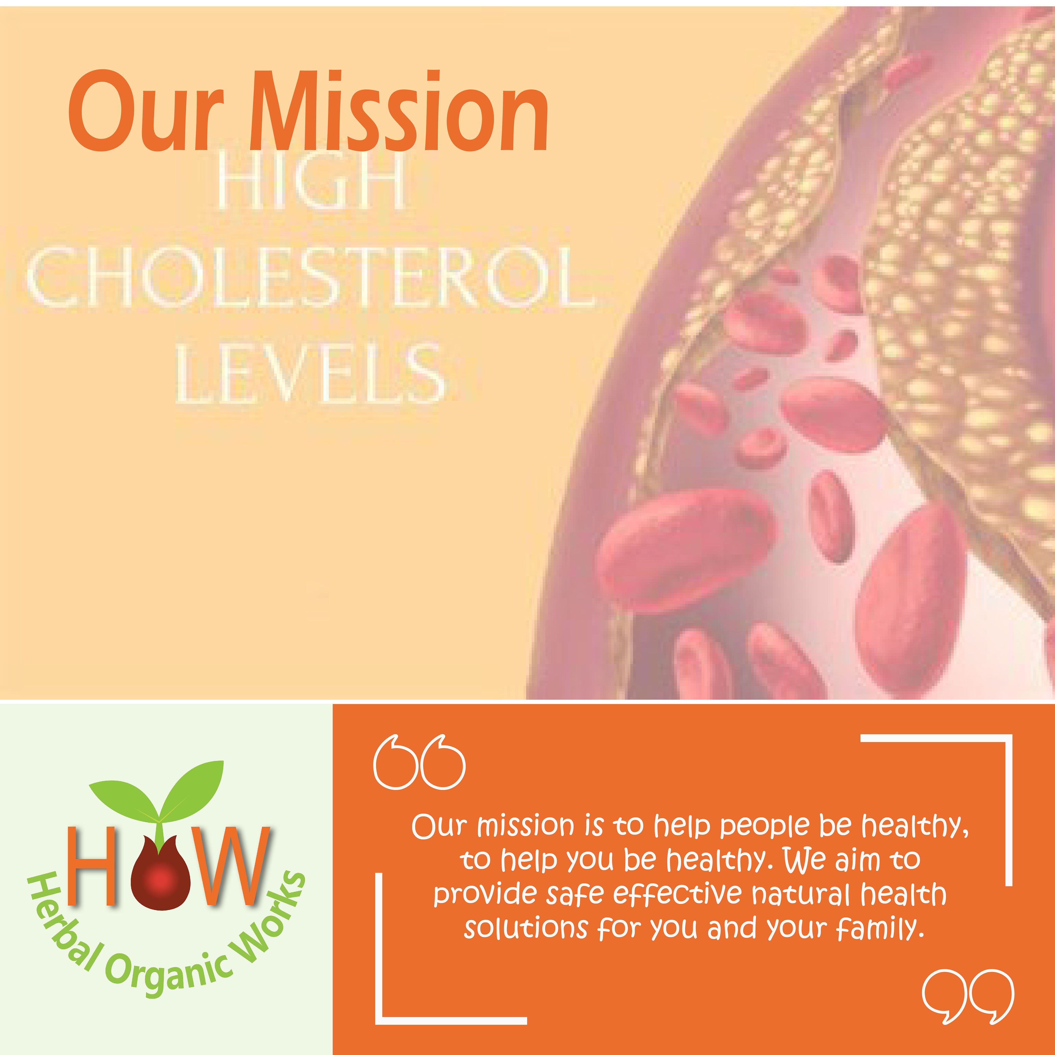 HIGH CHOLESTROL SUPPLEMENTS (HOW135)