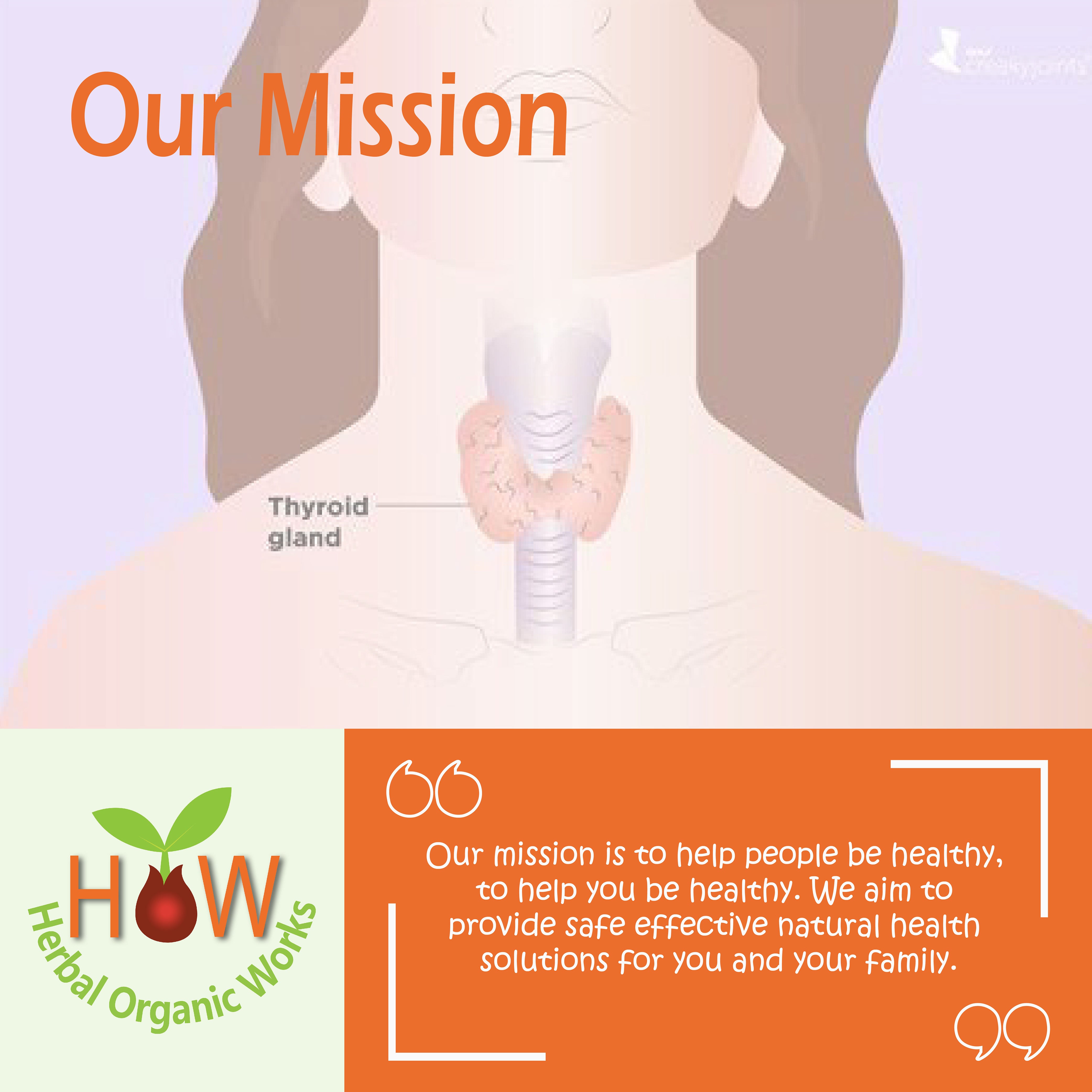 HYPOTHYROID REMEDY (HOW204)