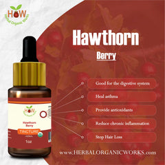 Hawthorn Berry