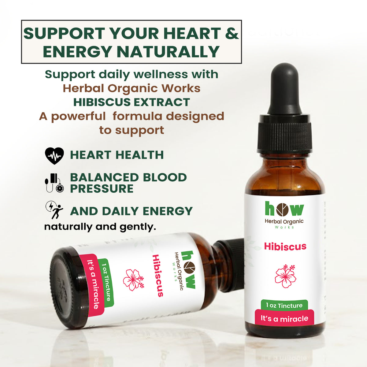 Hibiscus Extract 