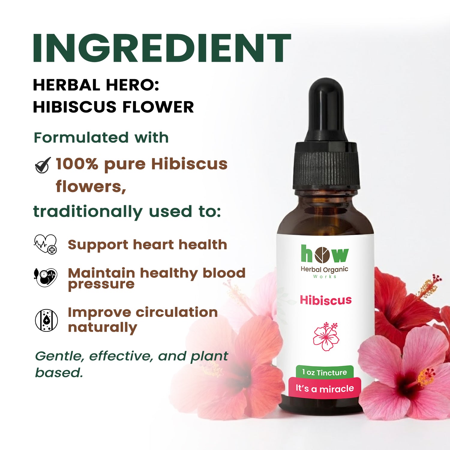 Hibiscus Extract ingredients
