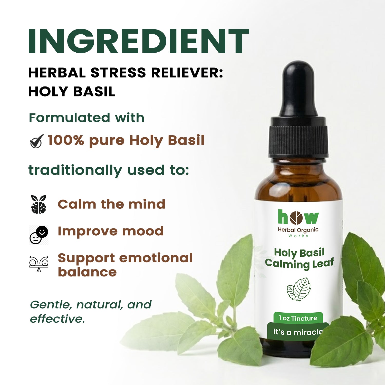 Holy Basil Extract ingredients