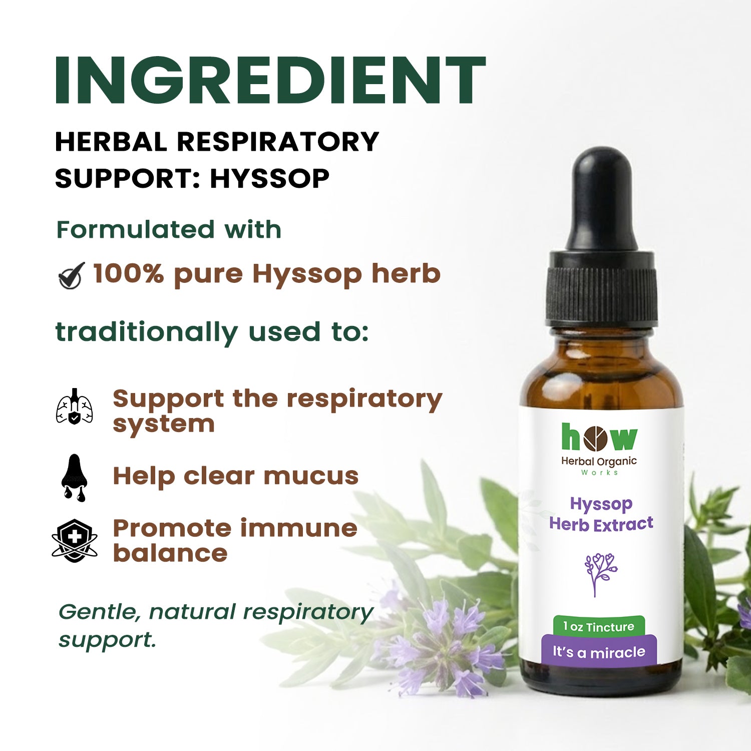 Hyssop herb extract ingredients