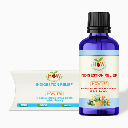 INDIGESTION RELIEF AND SUPPORT REMEDY (HOW170)