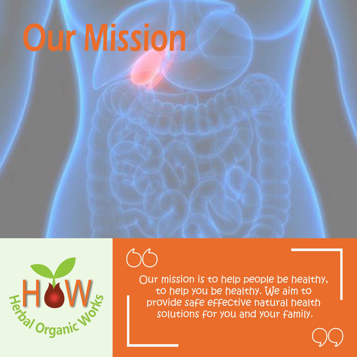 GALL BLADDER INFLAMMATION REMEDY (HOW65)
