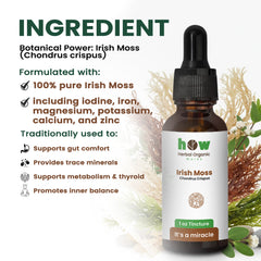 Irish Moss Tincture ingredients