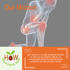 JOINT PAIN AND MUSCLE SORENESS REMEDY (HOW47)