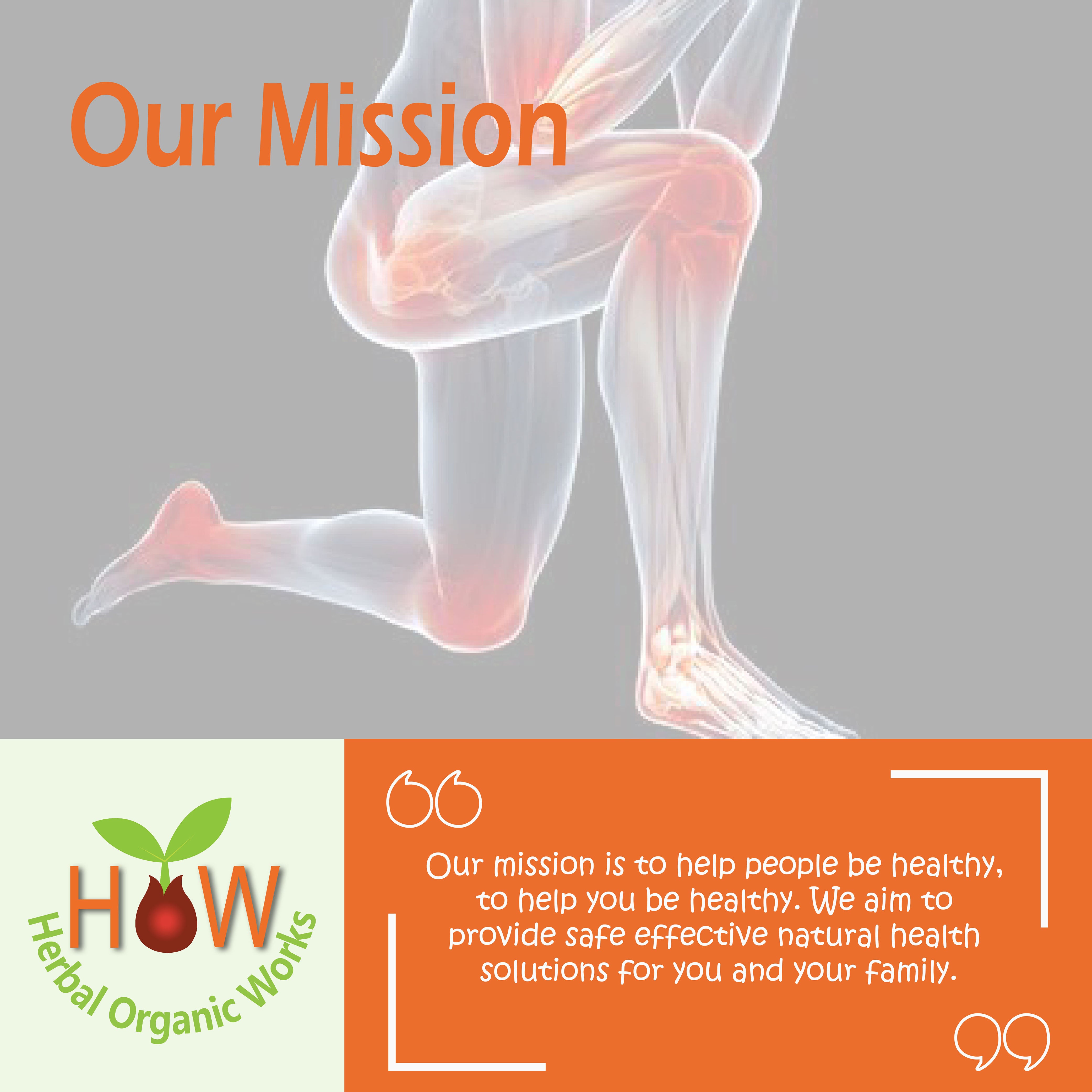 JOINT PAIN TABLETS (BIO19)