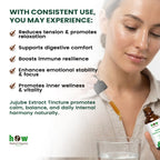 Jujube Extract benefits