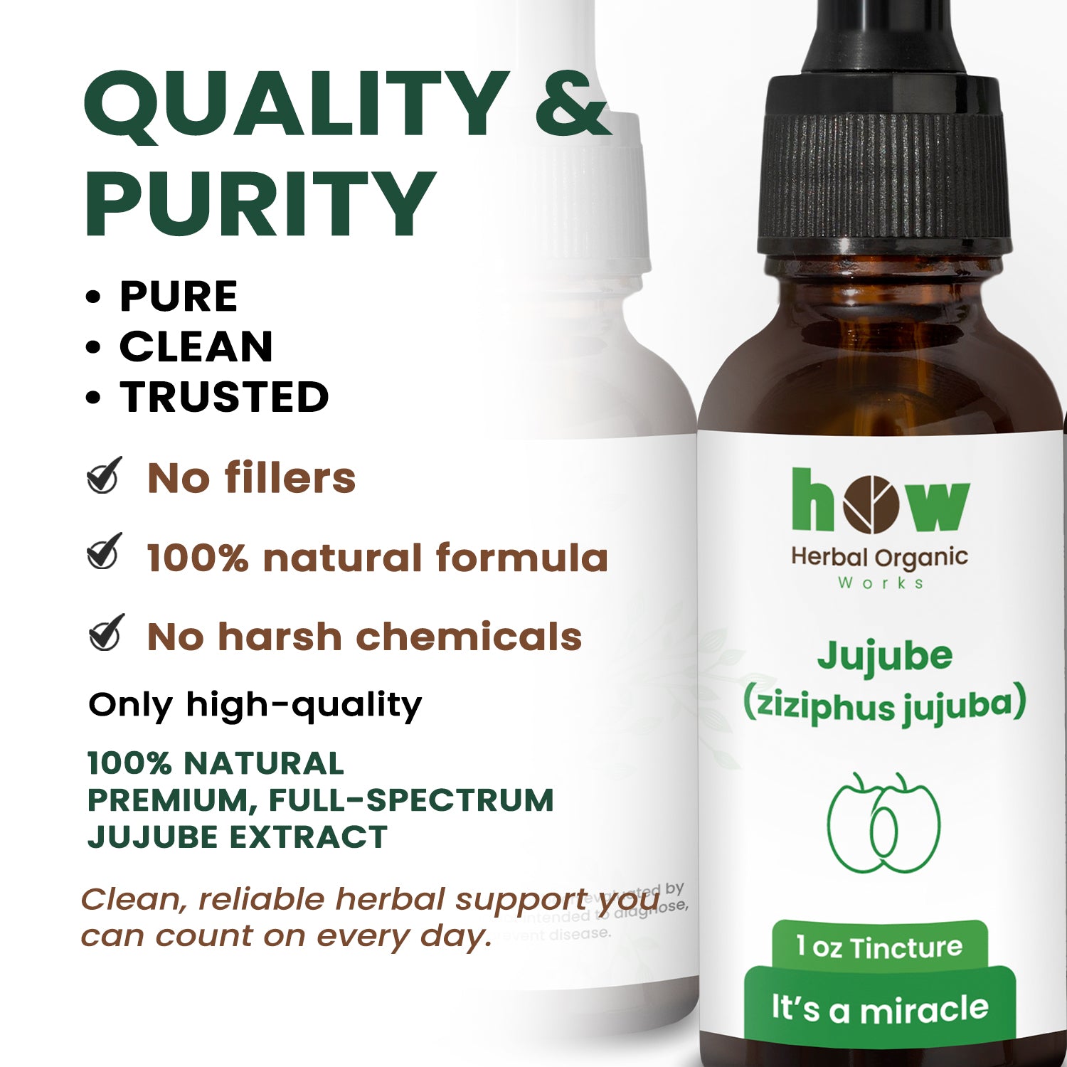 Jujube Extract quality