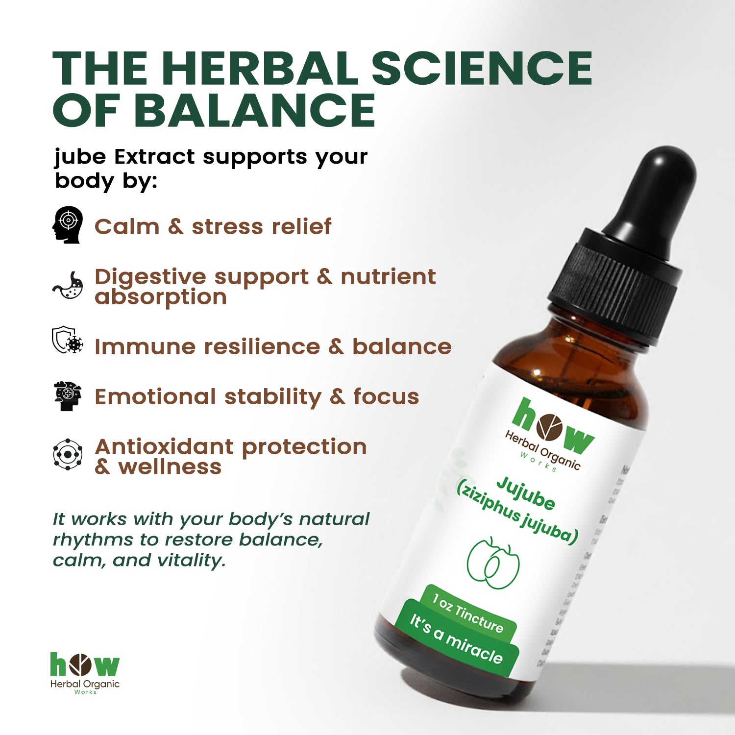 Jujube Extract works