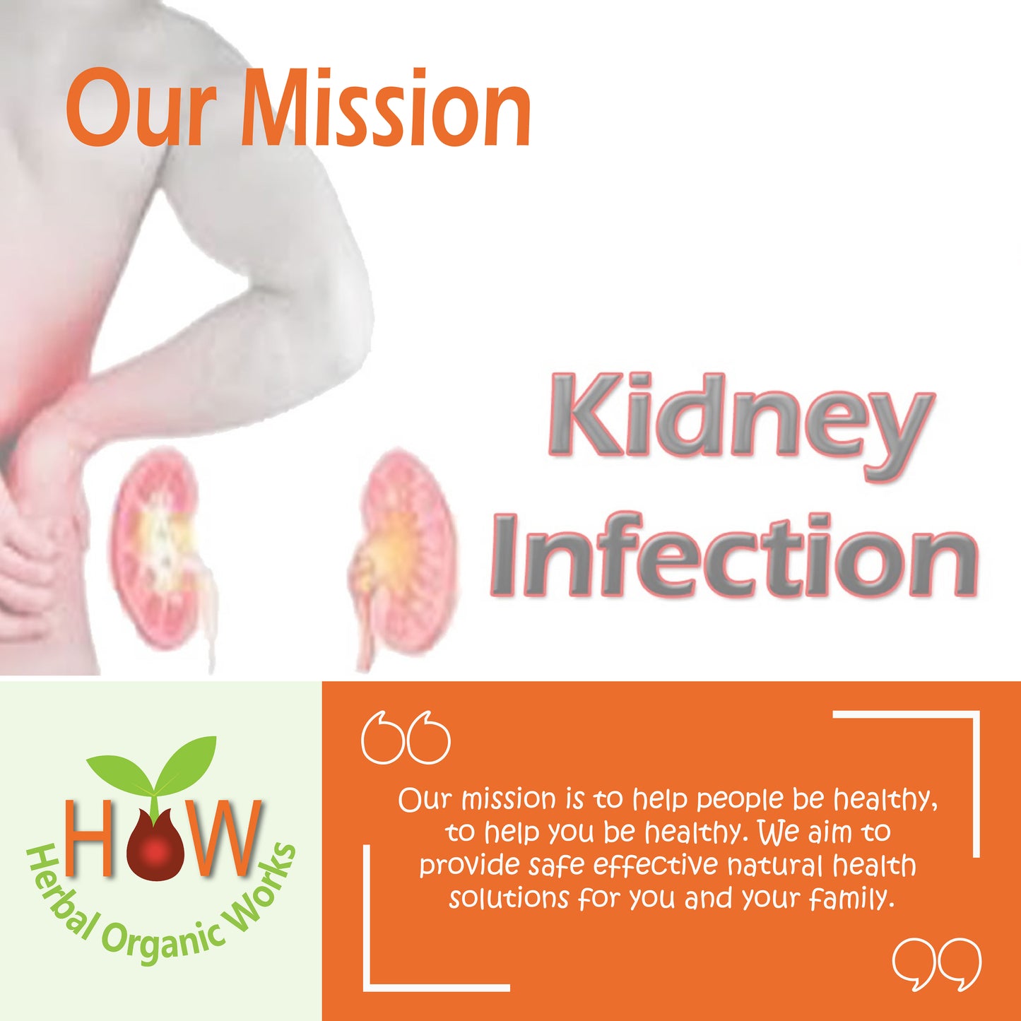 KIDNEY PAIN NATURAL REMEDY (HOW124)