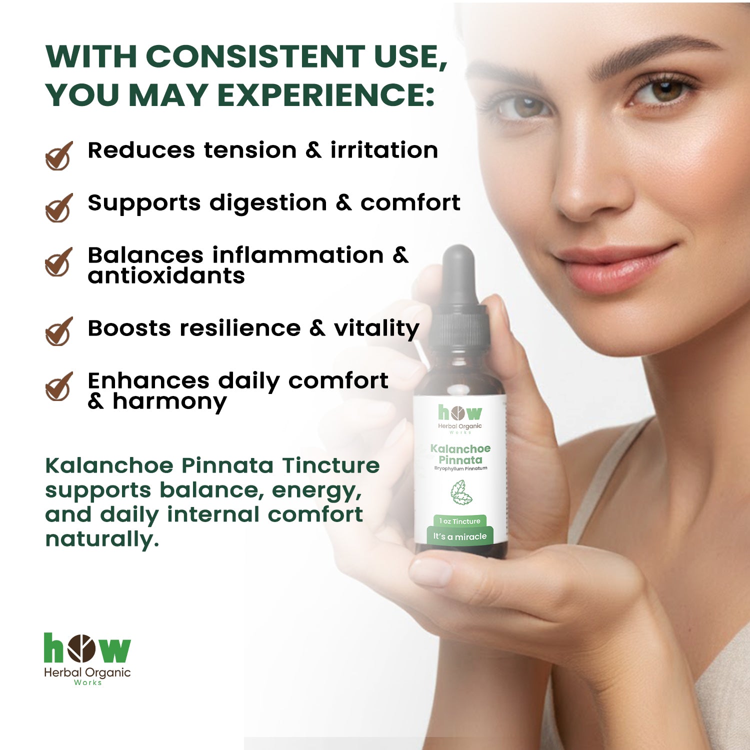 Kalanchoe pinnata Tincture benefits