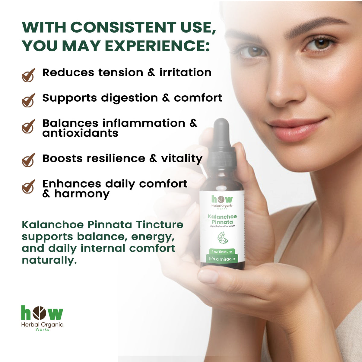 Kalanchoe pinnata Tincture benefits